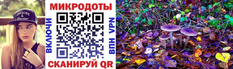 Купить где  Багратионовск  Галлюциногенные грибы GOLDEN TEACHER 